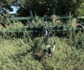 Другая Другая, объемом двигателя 0 л и пробегом 0 тыс. км за 11543 $, фото 1 на Automoto.ua
