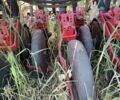Другая Другая, объемом двигателя 0 л и пробегом 0 тыс. км за 7245 $, фото 5 на Automoto.ua