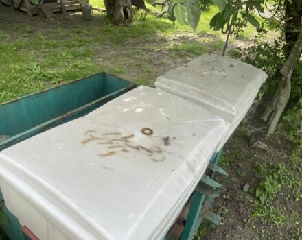 Другая Другая, объемом двигателя 0 л и пробегом 0 тыс. км за 998 $, фото 4 на Automoto.ua