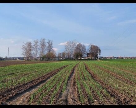 Другая Другая, объемом двигателя 0 л и пробегом 0 тыс. км за 1191 $, фото 5 на Automoto.ua