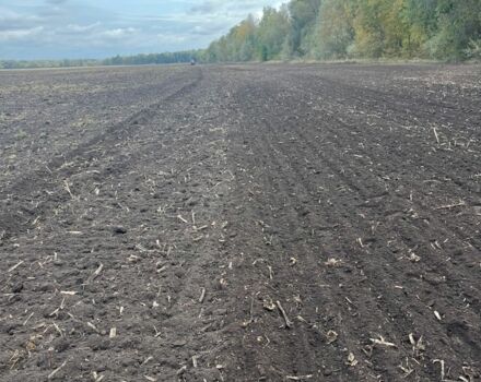 Другая Другая, объемом двигателя 0 л и пробегом 0 тыс. км за 111130 $, фото 10 на Automoto.ua