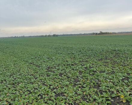 Другая Другая, объемом двигателя 0 л и пробегом 0 тыс. км за 111130 $, фото 11 на Automoto.ua