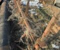 Другая Другая, объемом двигателя 0 л и пробегом 0 тыс. км за 7000 $, фото 2 на Automoto.ua