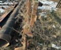 Другая Другая, объемом двигателя 0 л и пробегом 0 тыс. км за 7000 $, фото 3 на Automoto.ua