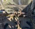 Другая Другая, объемом двигателя 0 л и пробегом 0 тыс. км за 260000 $, фото 9 на Automoto.ua