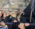 Другая Другая, объемом двигателя 0 л и пробегом 0 тыс. км за 260000 $, фото 14 на Automoto.ua