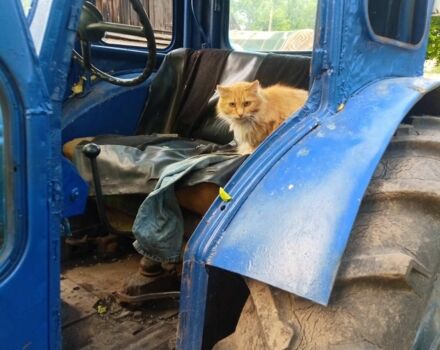 Інша Інша, об'ємом двигуна 0 л та пробігом 0 тис. км за 1650 $, фото 5 на Automoto.ua