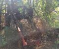 Другая Другая, объемом двигателя 1.2 л и пробегом 0 тыс. км за 800 $, фото 2 на Automoto.ua
