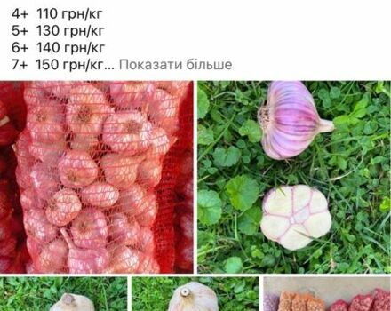 Інша Інша, об'ємом двигуна 4.85 л та пробігом 5 тис. км за 4100 $, фото 5 на Automoto.ua