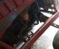 Другая Другая, объемом двигателя 0 л и пробегом 0 тыс. км за 485 $, фото 4 на Automoto.ua