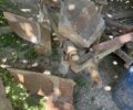 Другая Другая, объемом двигателя 0 л и пробегом 0 тыс. км за 5000 $, фото 9 на Automoto.ua