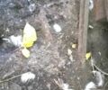 Другая Другая, объемом двигателя 0 л и пробегом 0 тыс. км за 13 $, фото 2 на Automoto.ua