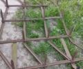 Другая Другая, объемом двигателя 0 л и пробегом 0 тыс. км за 1000 $, фото 1 на Automoto.ua