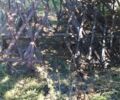 Другая Другая, объемом двигателя 0 л и пробегом 0 тыс. км за 484 $, фото 3 на Automoto.ua