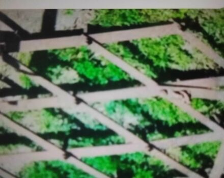 Другая Другая, объемом двигателя 0 л и пробегом 0 тыс. км за 48 $, фото 1 на Automoto.ua