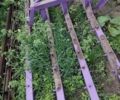 Другая Другая, объемом двигателя 0 л и пробегом 0 тыс. км за 32000 $, фото 5 на Automoto.ua