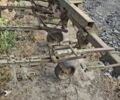 Другая Другая, объемом двигателя 0 л и пробегом 0 тыс. км за 241 $, фото 3 на Automoto.ua