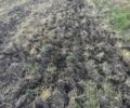 Другая Другая, объемом двигателя 0 л и пробегом 0 тыс. км за 2100 $, фото 6 на Automoto.ua