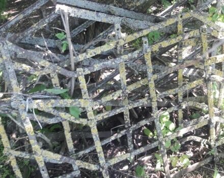 Інша Інша, об'ємом двигуна 0 л та пробігом 0 тис. км за 1500 $, фото 1 на Automoto.ua