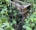 Другая Другая, объемом двигателя 0 л и пробегом 0 тыс. км за 1575 $, фото 1 на Automoto.ua