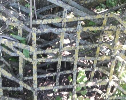 Інша Інша, об'ємом двигуна 0 л та пробігом 0 тис. км за 1500 $, фото 3 на Automoto.ua