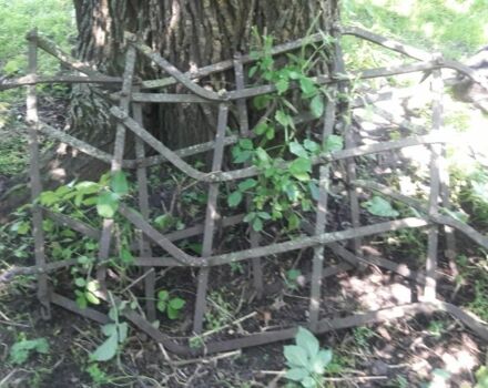 Інша Інша, об'ємом двигуна 0 л та пробігом 0 тис. км за 1500 $, фото 5 на Automoto.ua