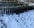 Другая Другая, объемом двигателя 0 л и пробегом 0 тыс. км за 3200 $, фото 1 на Automoto.ua
