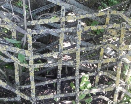 Інша Інша, об'ємом двигуна 0 л та пробігом 0 тис. км за 1500 $, фото 2 на Automoto.ua