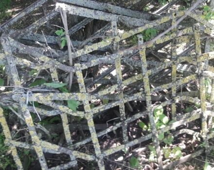 Інша Інша, об'ємом двигуна 0 л та пробігом 0 тис. км за 1500 $, фото 4 на Automoto.ua