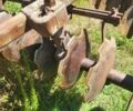 Другая Другая, объемом двигателя 0 л и пробегом 0 тыс. км за 50000 $, фото 1 на Automoto.ua