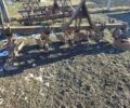 Другая Другая, объемом двигателя 0 л и пробегом 0 тыс. км за 15000 $, фото 1 на Automoto.ua