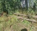 Другая Другая, объемом двигателя 0 л и пробегом 0 тыс. км за 4500 $, фото 13 на Automoto.ua