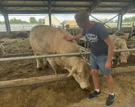 Другая Другая, объемом двигателя 0 л и пробегом 0 тыс. км за 10000 $, фото 6 на Automoto.ua