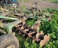 Другая Другая, объемом двигателя 0 л и пробегом 0 тыс. км за 2418 $, фото 3 на Automoto.ua