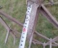 Другая Другая, объемом двигателя 0 л и пробегом 0 тыс. км за 6000 $, фото 5 на Automoto.ua