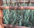 Другая Другая, объемом двигателя 0 л и пробегом 0 тыс. км за 2416 $, фото 4 на Automoto.ua