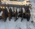 Інша Інша, об'ємом двигуна 0 л та пробігом 0 тис. км за 120000 $, фото 1 на Automoto.ua