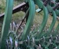 Другая Другая, объемом двигателя 0 л и пробегом 0 тыс. км за 2500 $, фото 1 на Automoto.ua