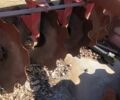 Інша Інша, об'ємом двигуна 0 л та пробігом 0 тис. км за 1453 $, фото 3 на Automoto.ua