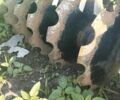 Другая Другая, объемом двигателя 0 л и пробегом 0 тыс. км за 829 $, фото 6 на Automoto.ua