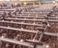 Другая Другая, объемом двигателя 0 л и пробегом 0 тыс. км за 470000 $, фото 5 на Automoto.ua