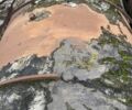 Другая Другая, объемом двигателя 0 л и пробегом 0 тыс. км за 101000 $, фото 9 на Automoto.ua