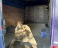 Другая Другая, объемом двигателя 0 л и пробегом 0 тыс. км за 1938 $, фото 10 на Automoto.ua
