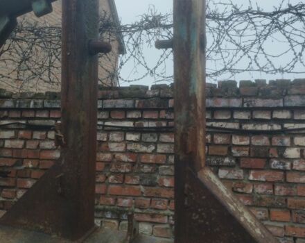 Другая Другая, объемом двигателя 0 л и пробегом 0 тыс. км за 355 $, фото 1 на Automoto.ua