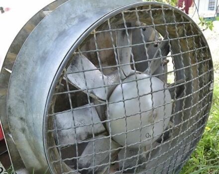 Інша Інша, об'ємом двигуна 0 л та пробігом 0 тис. км за 3145 $, фото 4 на Automoto.ua