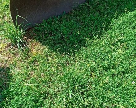 Другая Другая, объемом двигателя 0 л и пробегом 0 тыс. км за 131 $, фото 3 на Automoto.ua