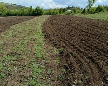 Другая Другая, объемом двигателя 0 л и пробегом 0 тыс. км за 570 $, фото 2 на Automoto.ua