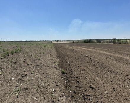 Другая Другая, объемом двигателя 0 л и пробегом 0 тыс. км за 12000 $, фото 4 на Automoto.ua