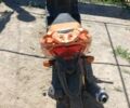 Інша Інша, об'ємом двигуна 0 л та пробігом 0 тис. км за 243 $, фото 2 на Automoto.ua