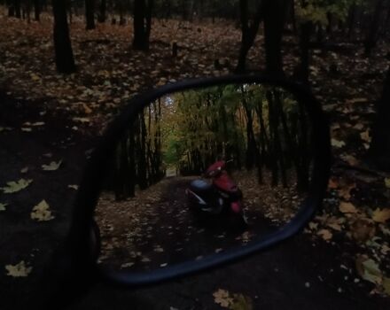 Інша Інша, об'ємом двигуна 49 л та пробігом 0 тис. км за 288 $, фото 7 на Automoto.ua